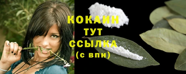 прущий лед Абаза