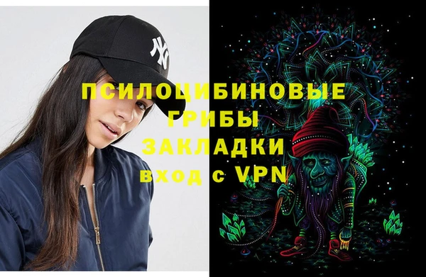 прущий лед Абаза