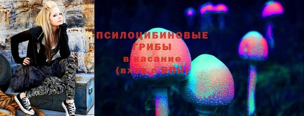 прущие крисы Абинск