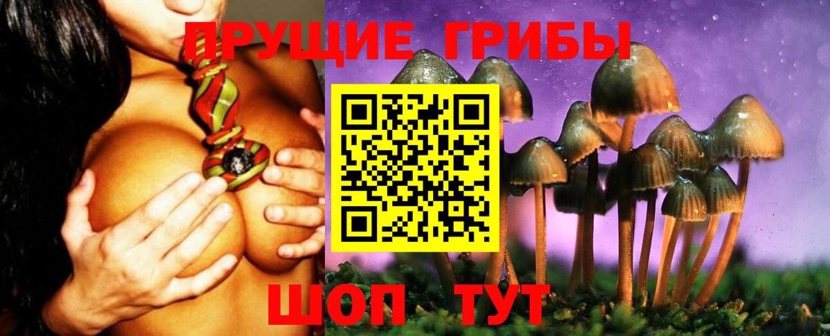 Псилоцибиновые грибы Psilocybe  Псилоцибиновые грибы Psilocybe  Вход с VPN  Зеленодольск 